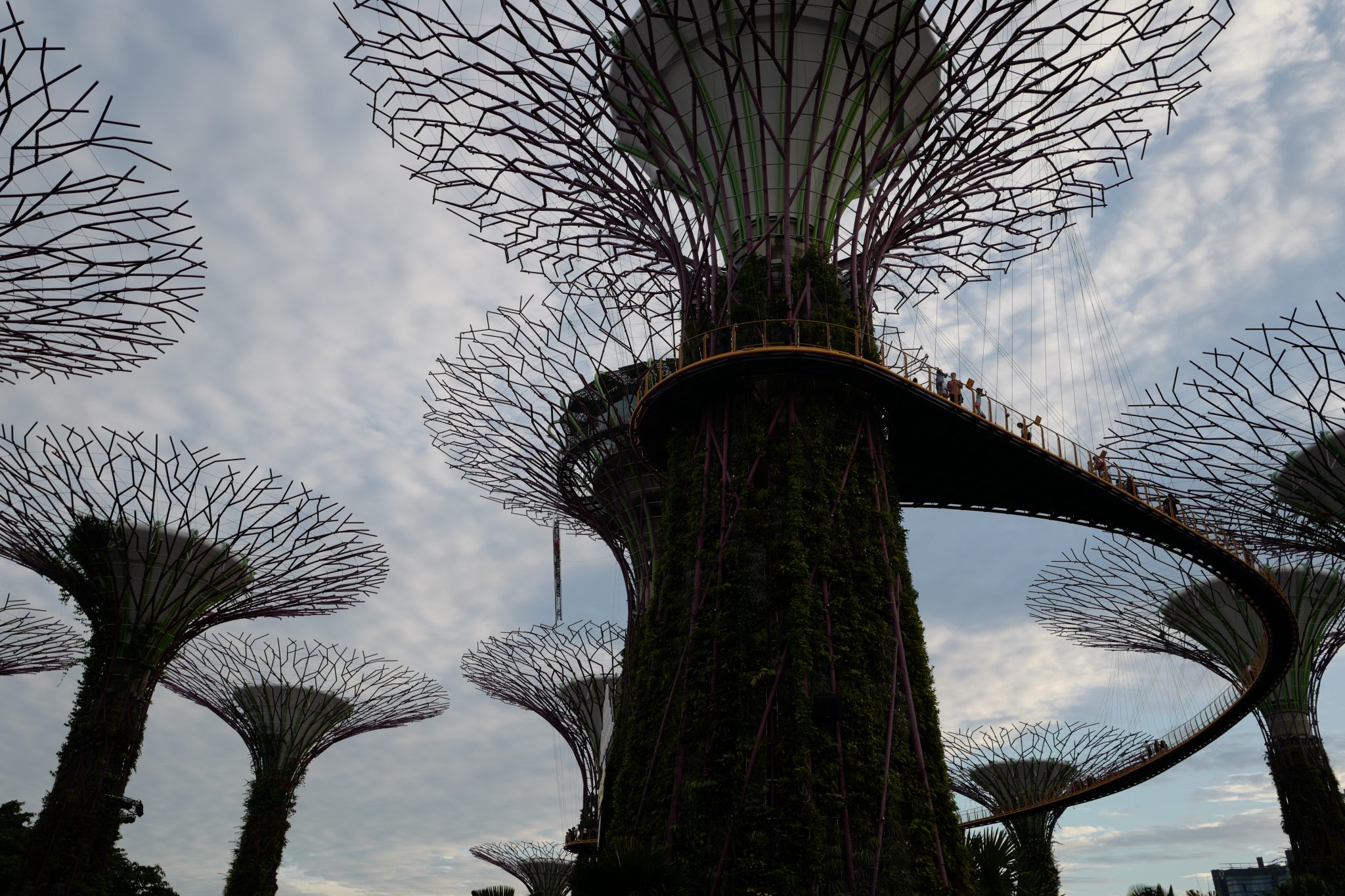 A Week in Singapore Visiting Hawker Centres, Singapore Botanic