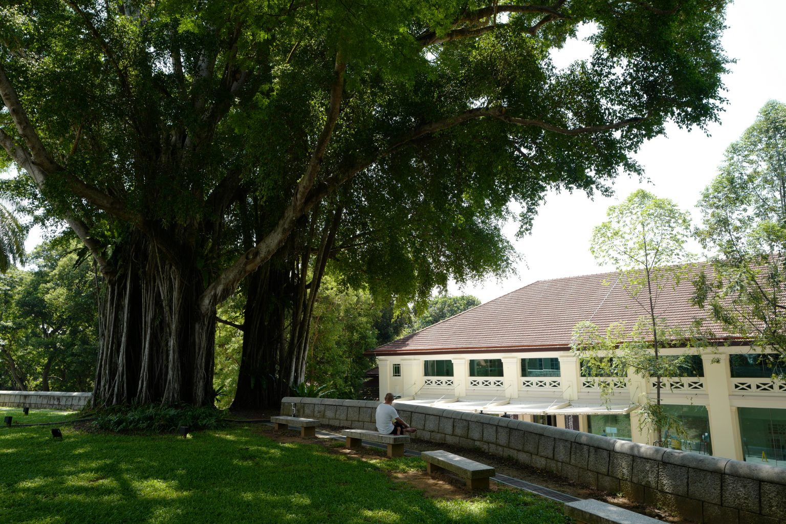 A Week in Singapore Visiting Hawker Centres, Singapore Botanic