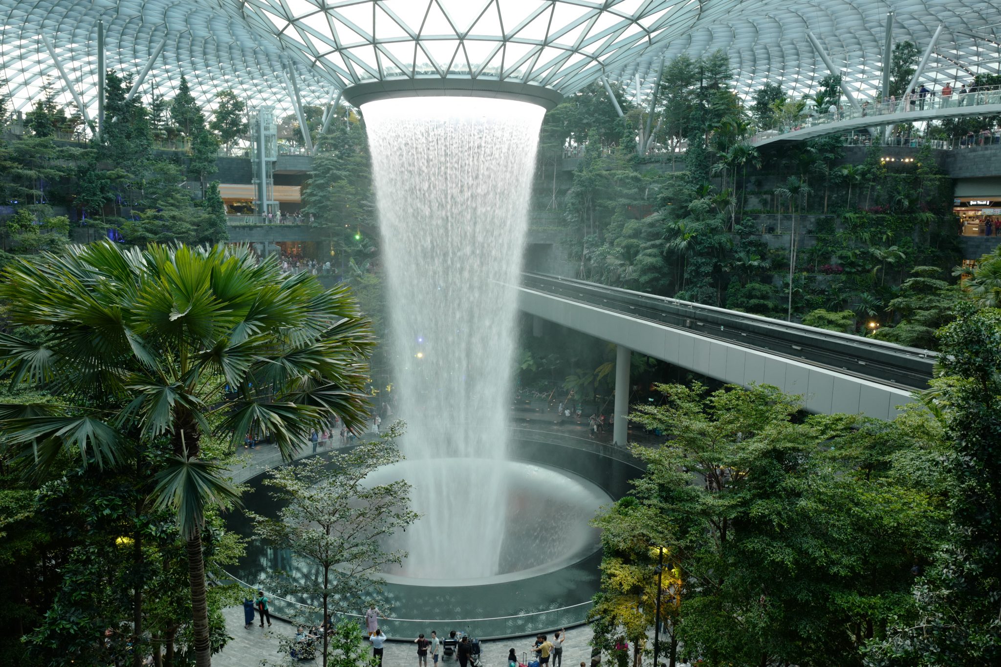 A Week in Singapore Visiting Hawker Centres, Singapore Botanic