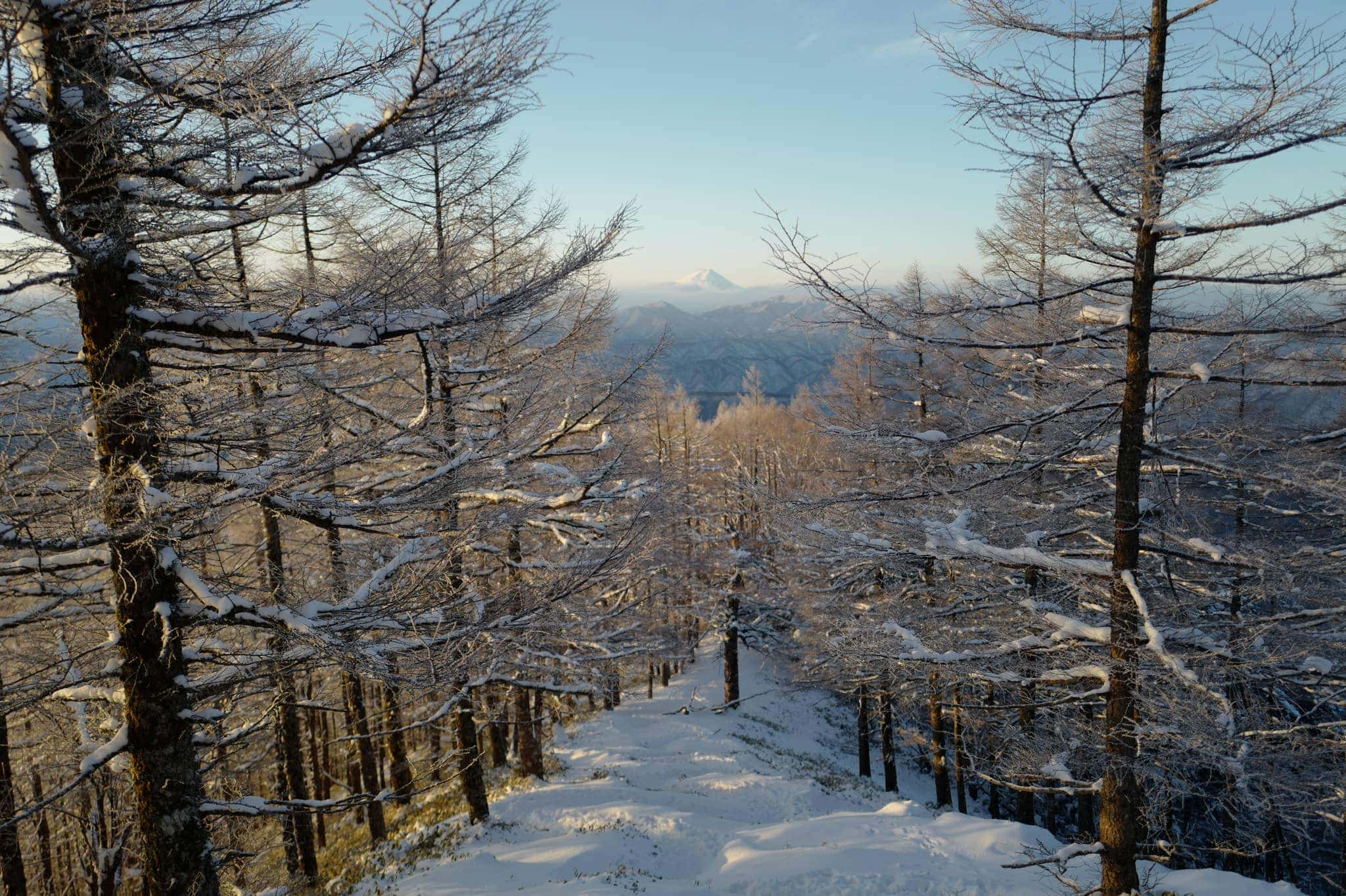 2 Day Snow Hike Mitsumine Shrine up to Mt. Kumotori and down to