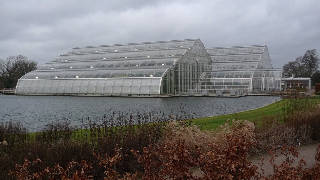 Butterflies in The Glasshouse at Wisley RHS Gardens, Surrey, UK Randomwire
