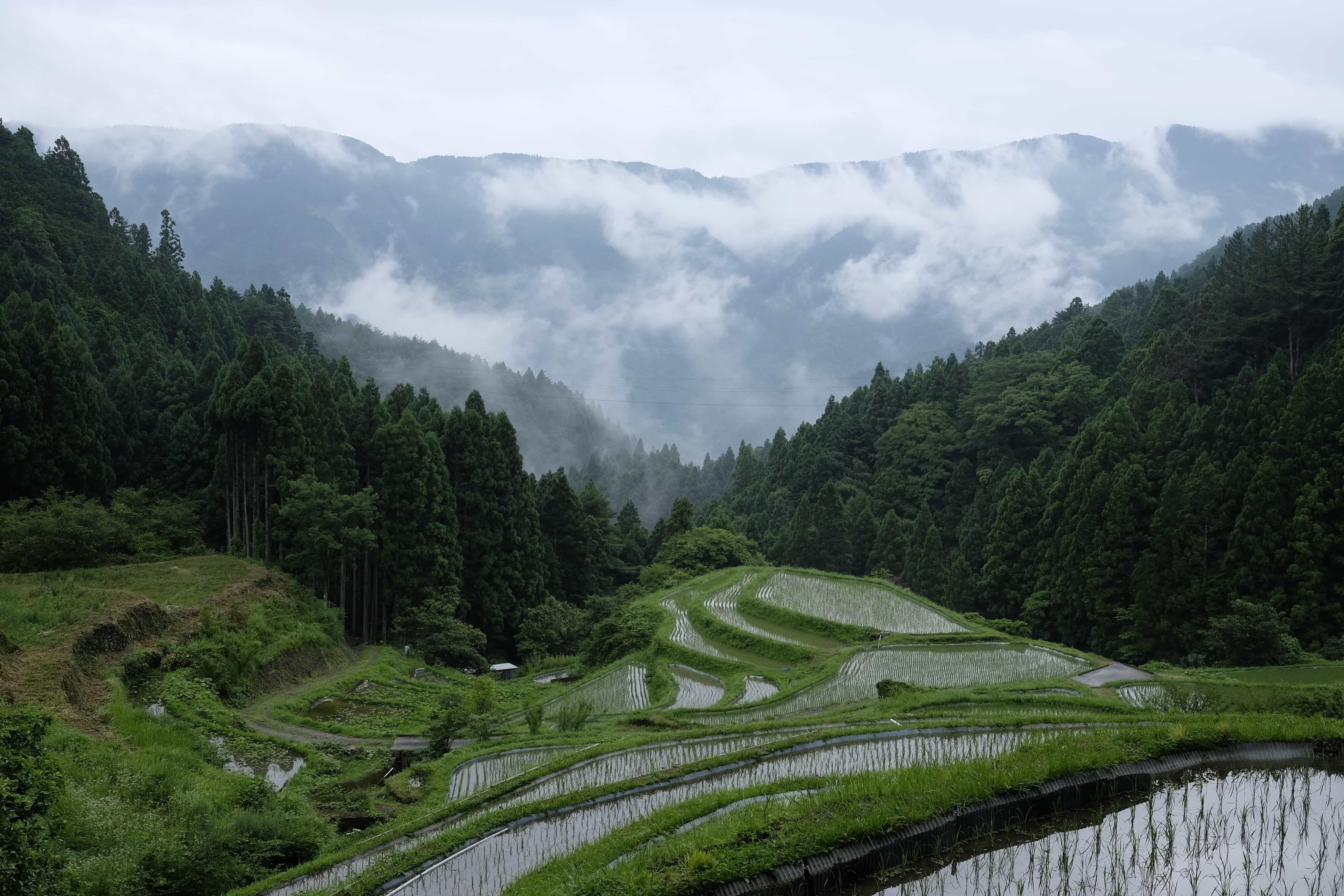 Cultural Landscapes of Tokushima Shikoku, Japan