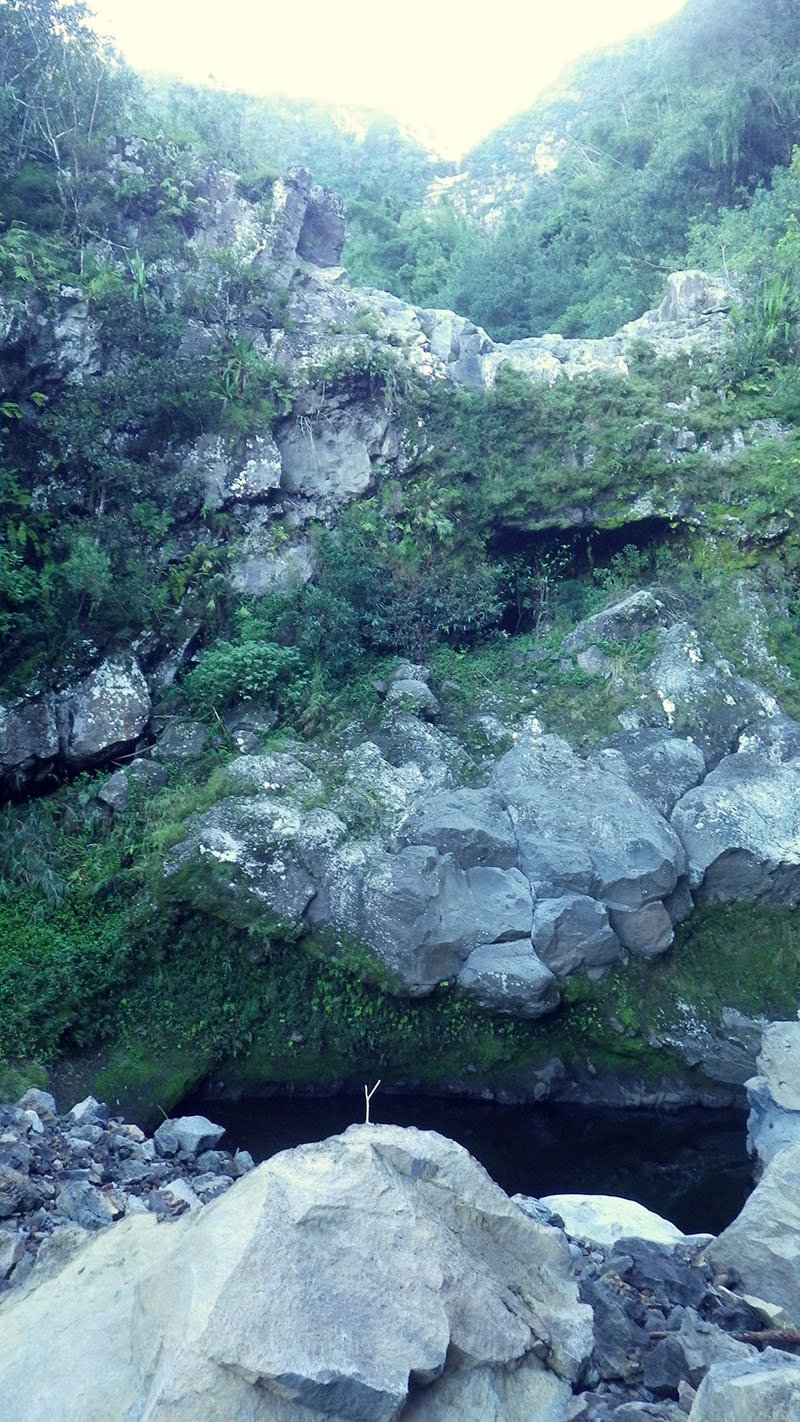 La remontée de la Grande Ravine depuis Trois Bassins — Randopitons