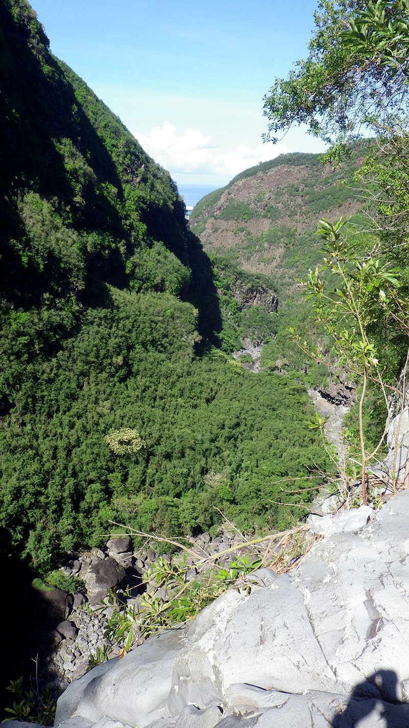 La remontée de la Grande Ravine depuis Trois Bassins — Randopitons