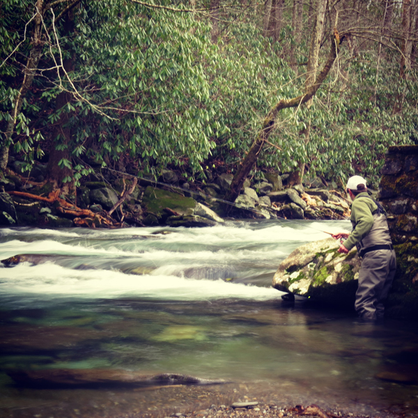 Fishing Elkmont R and R Fly Fishing