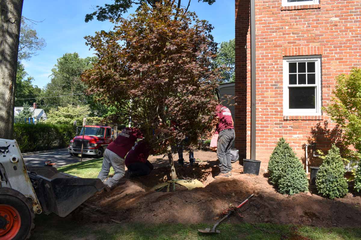 Landscape Design in Central NJ 5Star Rated