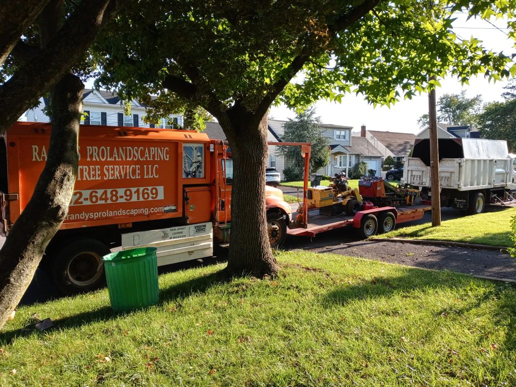 Tree Service Job in Colonia NJ Tree Service, Landscaping and Design Build