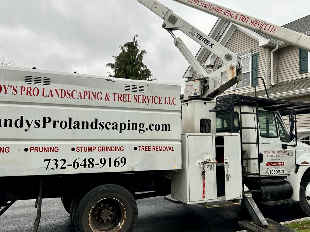  NJ Tree Service, Landscaping and Design Build