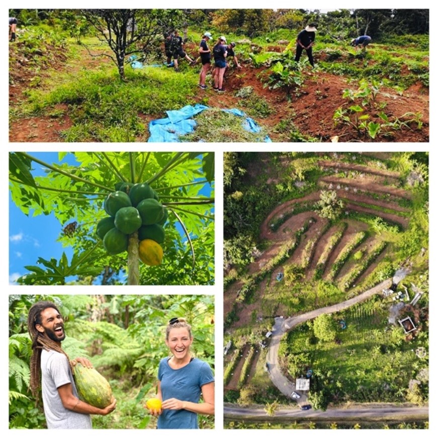 Range Joins Regenerative Agriculture Movement in Dominica Range