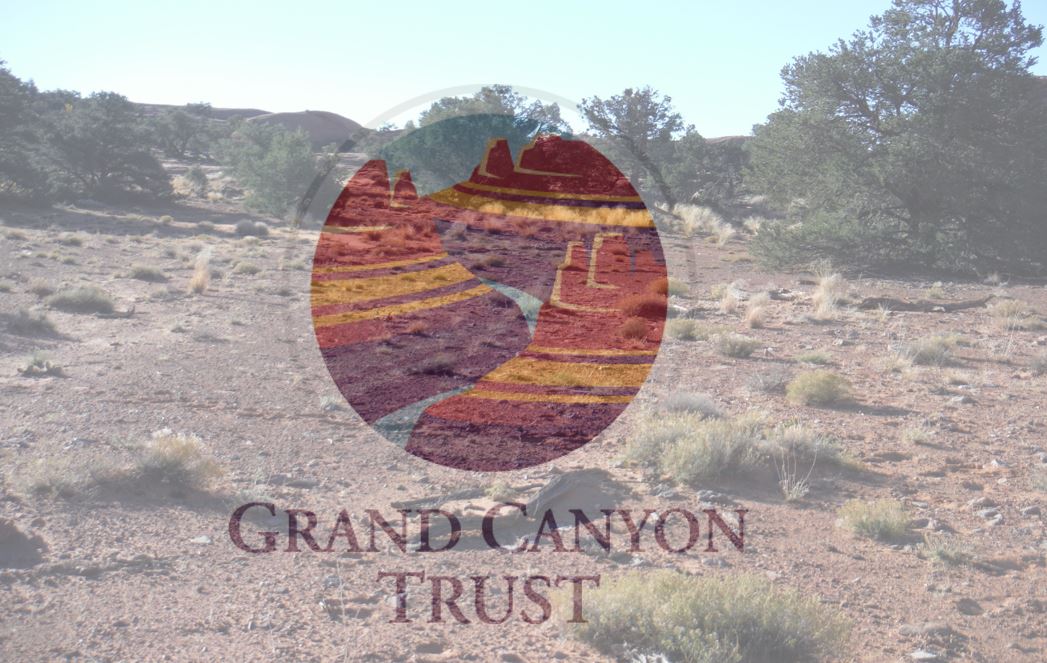 Flashback How one green group is buying up grazing allotments to keep