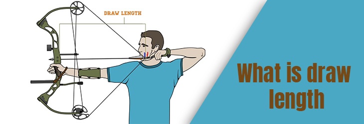 How to Measure a Draw Length Perfectly Things to Keep in Mind