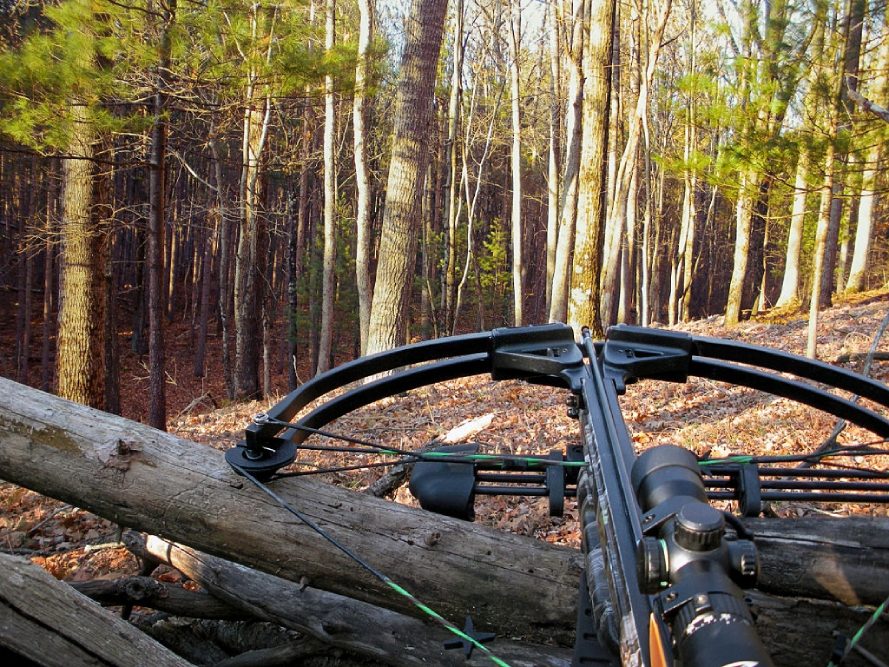 Compound Bow Maintenance 11 Tips