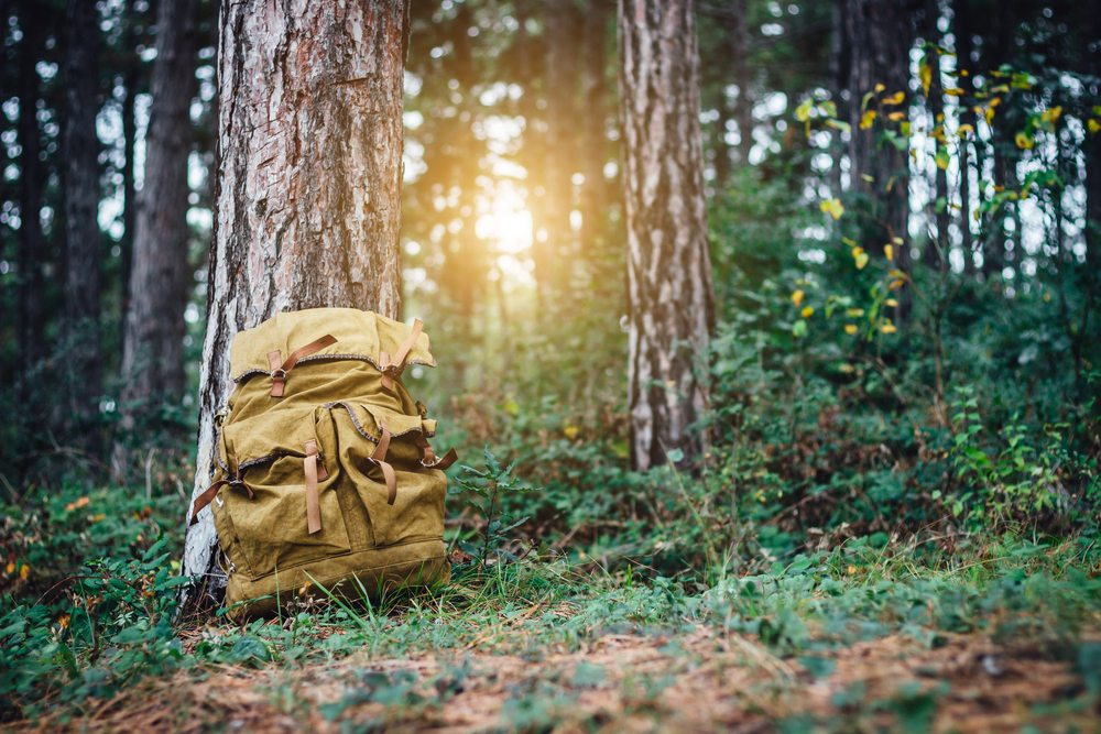 Top 5 Best Hunting Day Packs & Backpacks [2024 Updated]