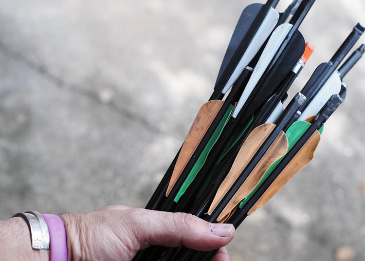 Best Crossbow Bolts (2024) for Hunting & Target Practice