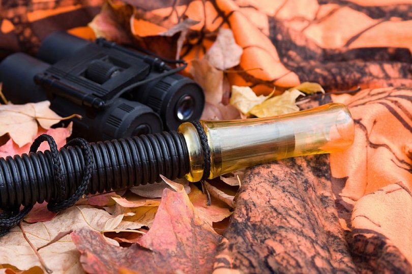 How to Use a Deer Call? 6 Different Lure Types with Pro Tips