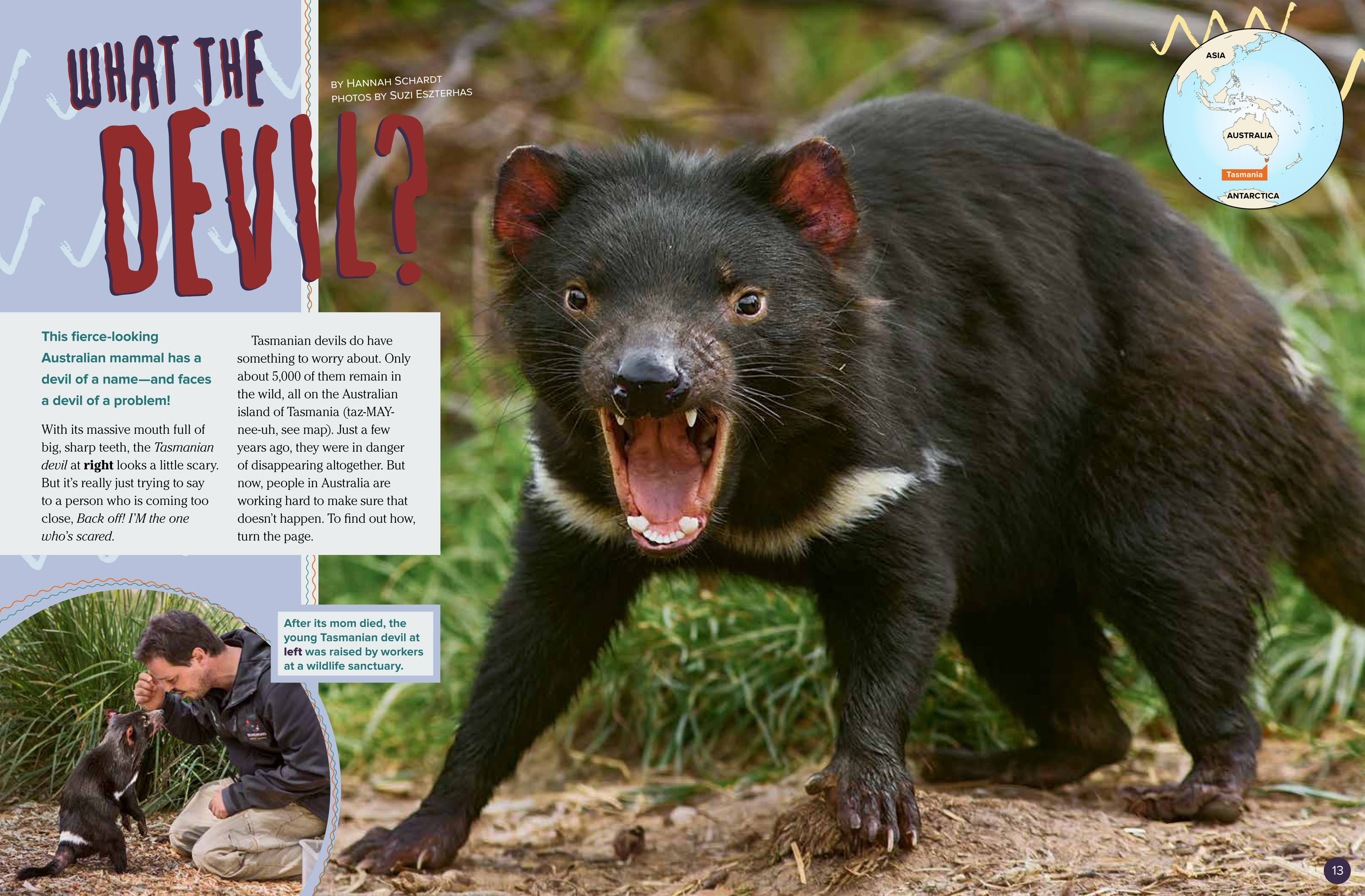 Tasmanian Devils NWF Ranger Rick