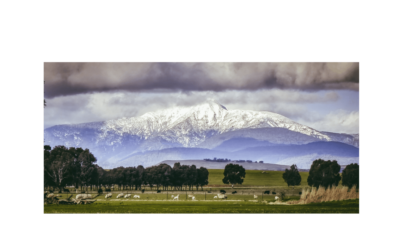 the ranges dining, functions and events in mansfield, victoria