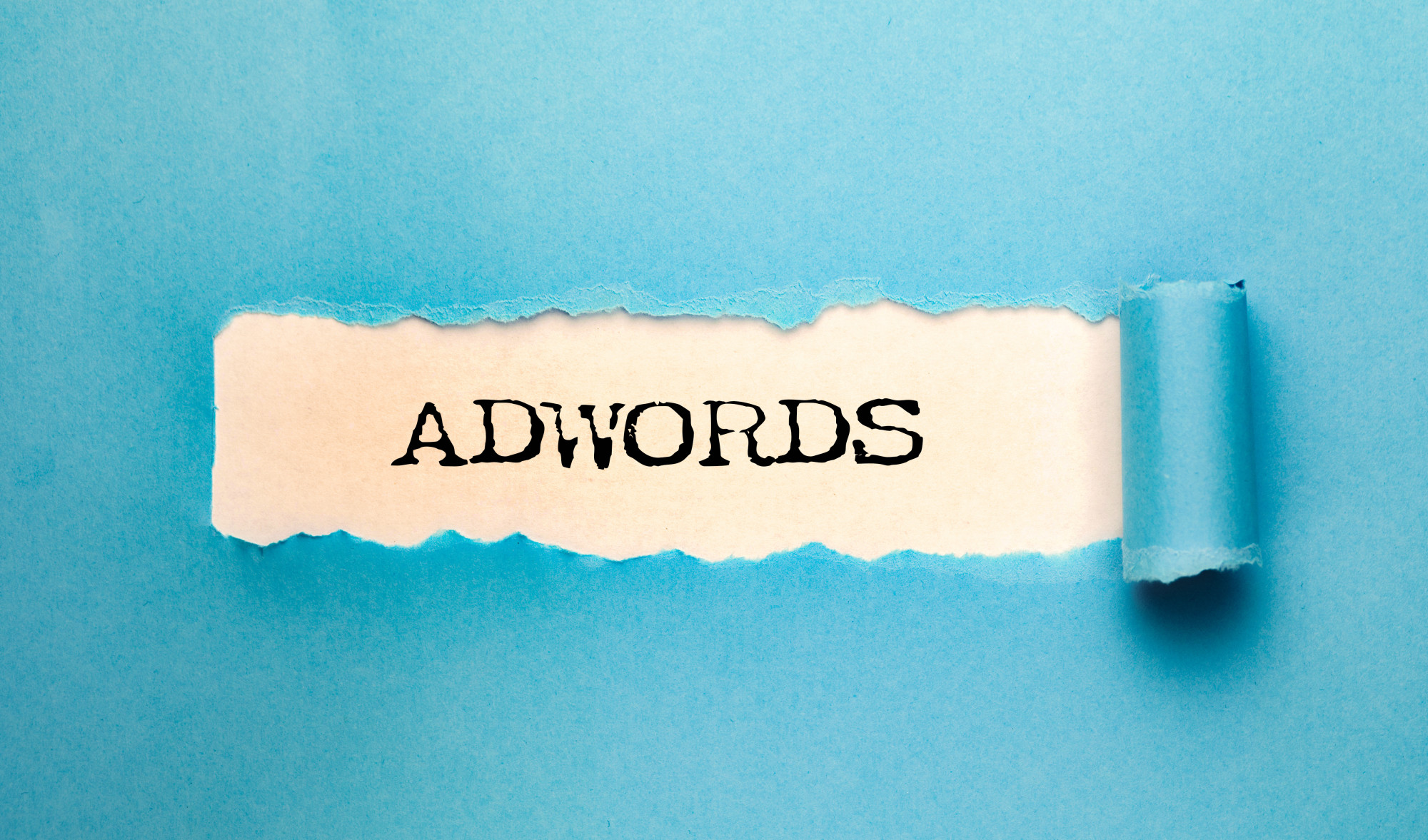 How Does Google AdWords Work? Everything You Need to Know Ranking Check