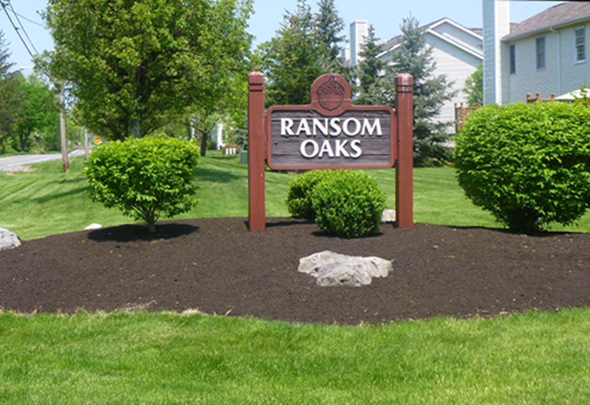 New to Ransom Oaks Ransom Oaks