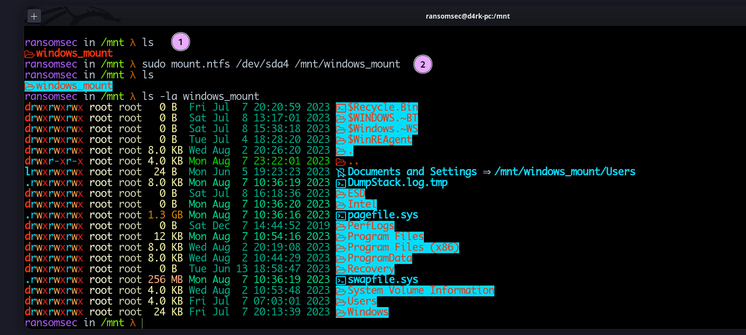 Mounting Windows partition in Linux rbp