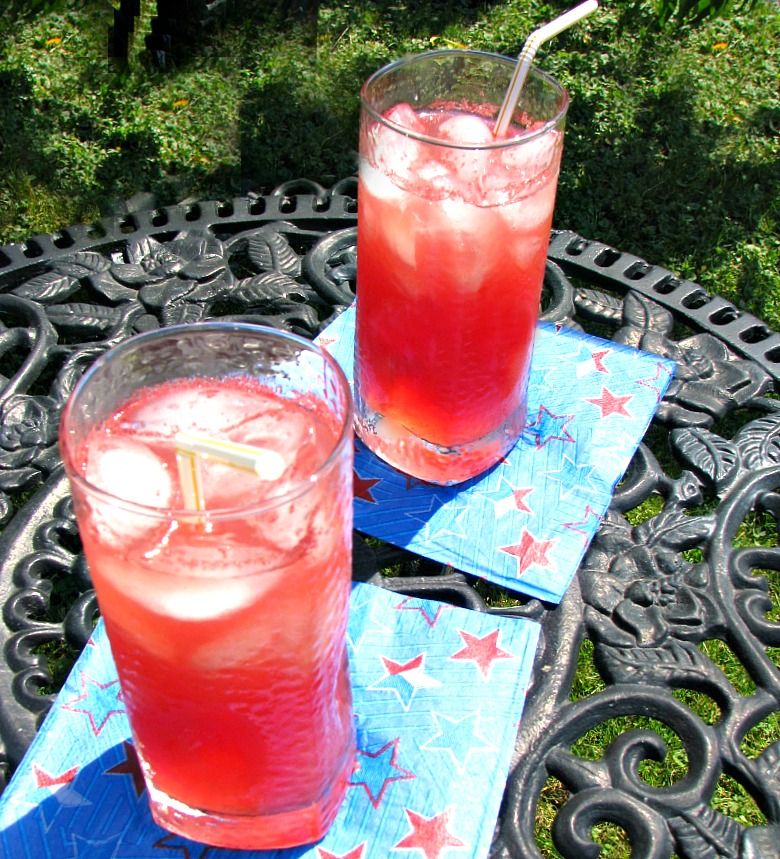 Watermelon Punch Recipe Rants From My Crazy Kitchen