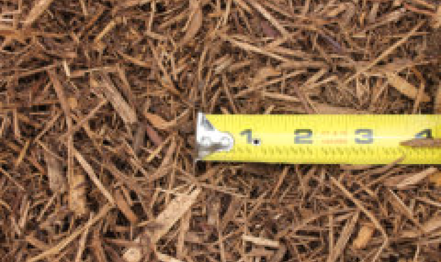 Sand & Mulch RA Nursery