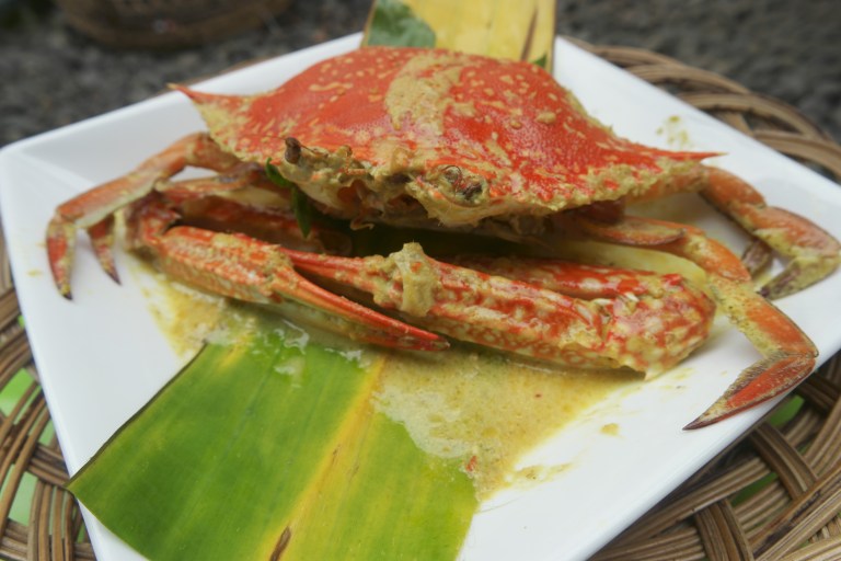 tri sakti yogantoro Mengenal lombok lebih Dekat