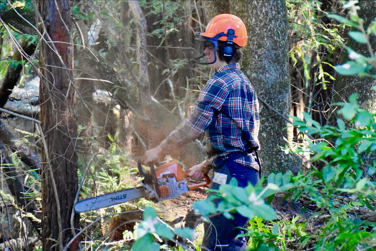 April 2022 Bodega Land Trust Interview with Mary Biggs, Board