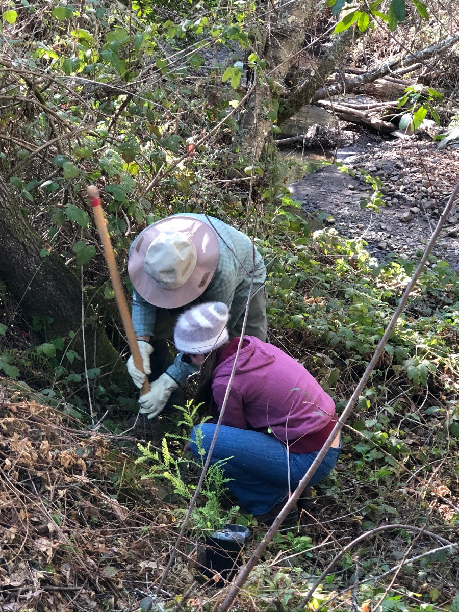 April 2022 Bodega Land Trust Interview with Mary Biggs, Board