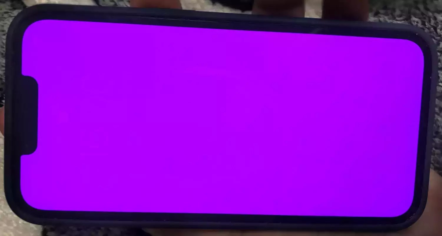 Pink Screen Issue for many iPhone 13 series users Rapid Meta