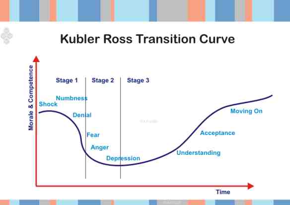 Kubler Ross Personal Change Curve
