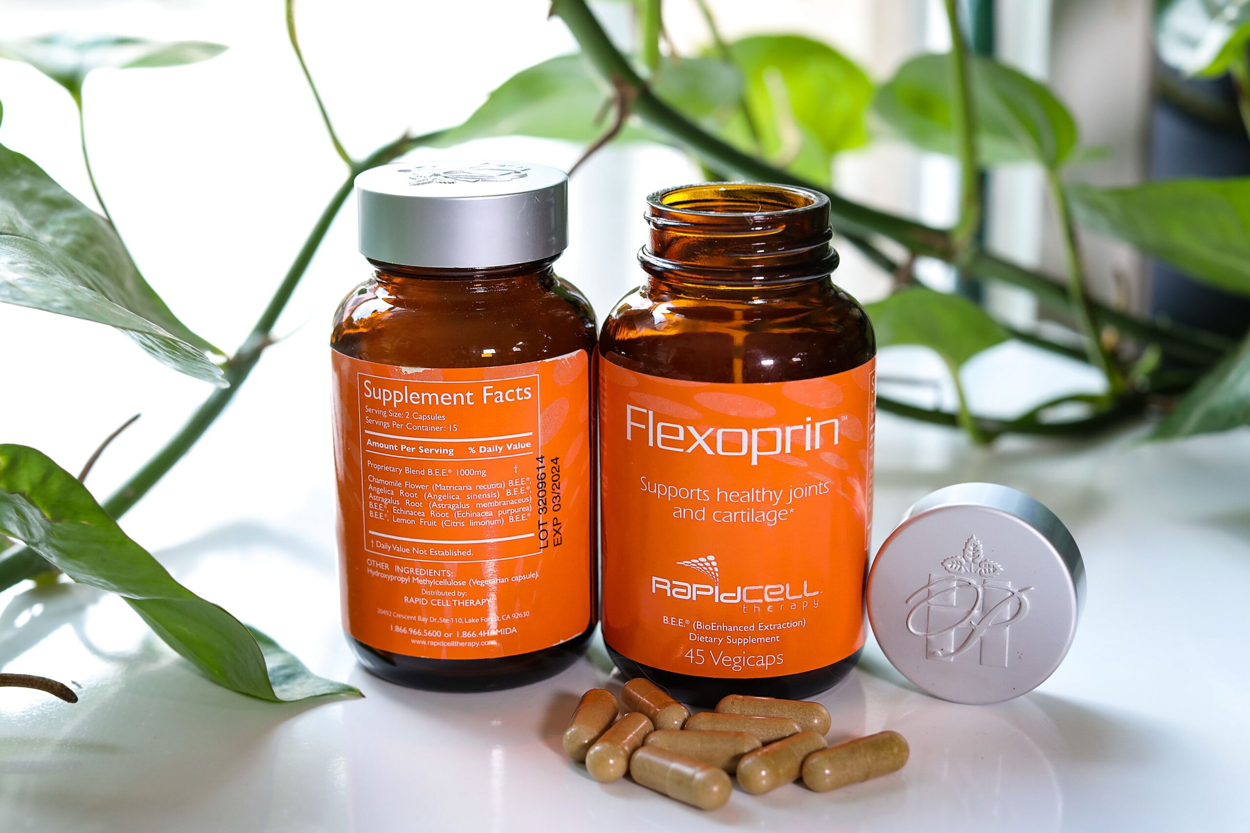 Flexoprin Best Supplement for Healthy Joints and Cartilage Rapid
