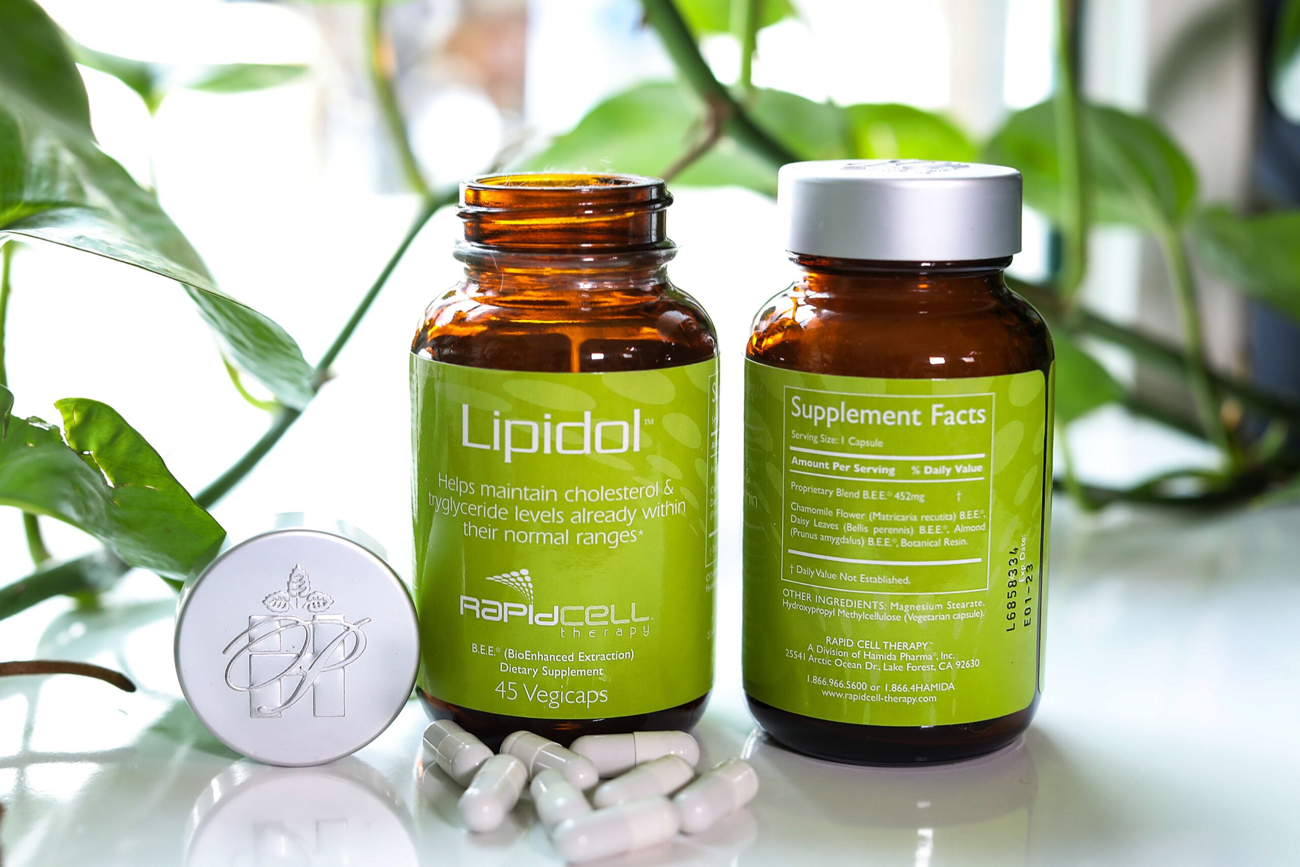 Lipidol Best Supplement to Lower Cholesterol and Triglyceride Levels Rapid Cell Therapy