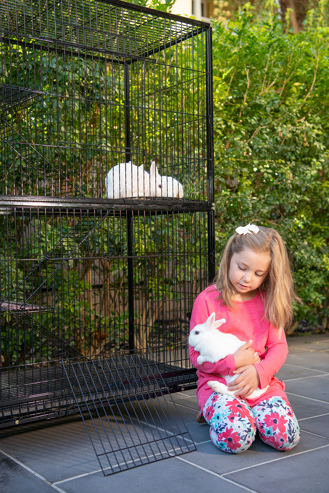 Buy Pet Enclosures Online