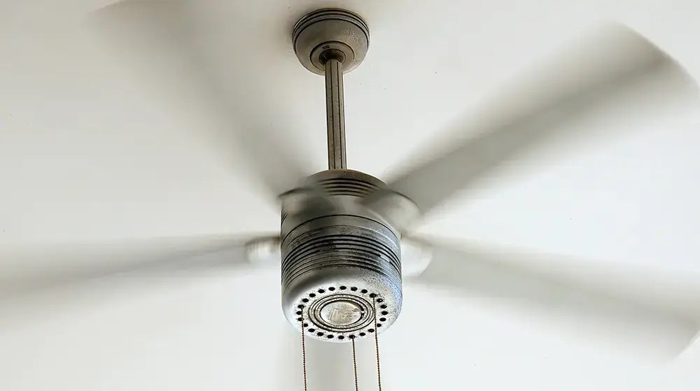 How To Clean Ceiling Fan Blades Rapid Restoration Recovery Inc