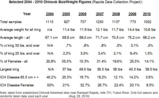Yukon River Chinook Size Decrease