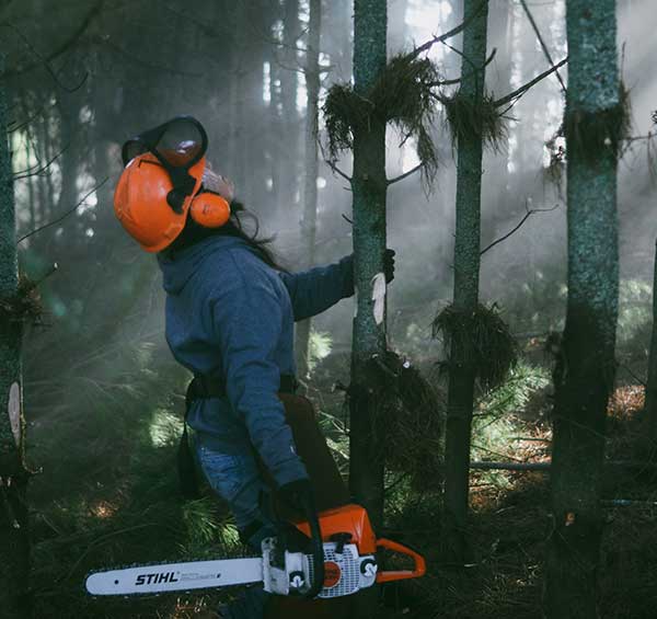 Hire Wisconsin Rapids Tree Service Pros for Reliable Tree work