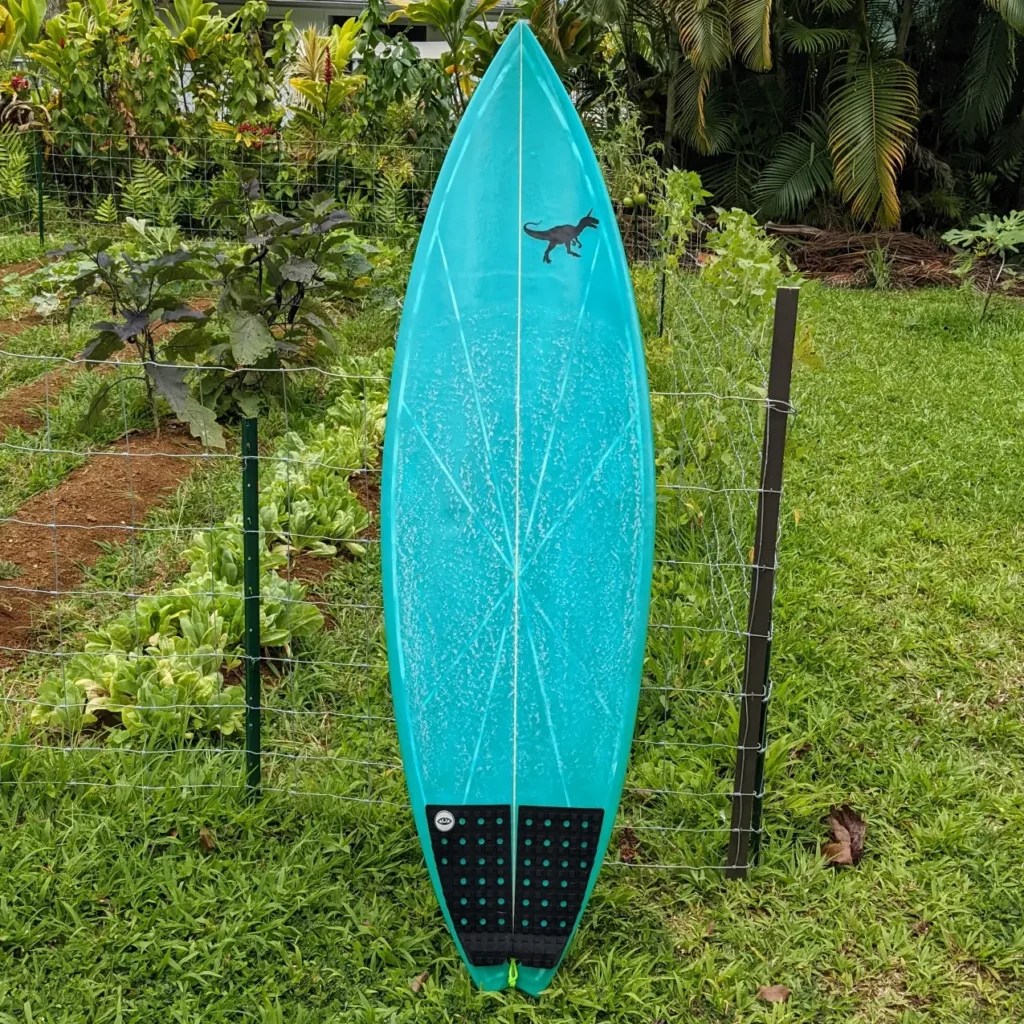 Kauai Surfboard Rentals Raptorcorn Boards