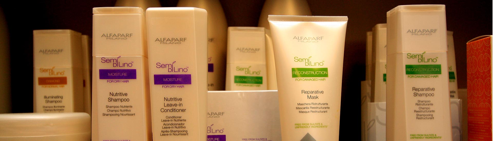 Rapunzel Too Premier Hair Salon West End, Richmond, VA