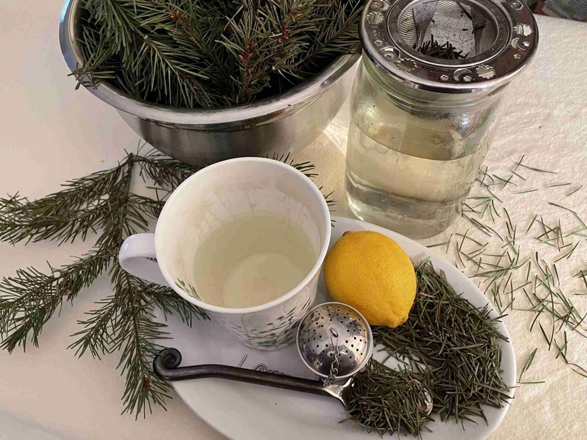 How to Make Pine Needle Tea • Rare Medicine