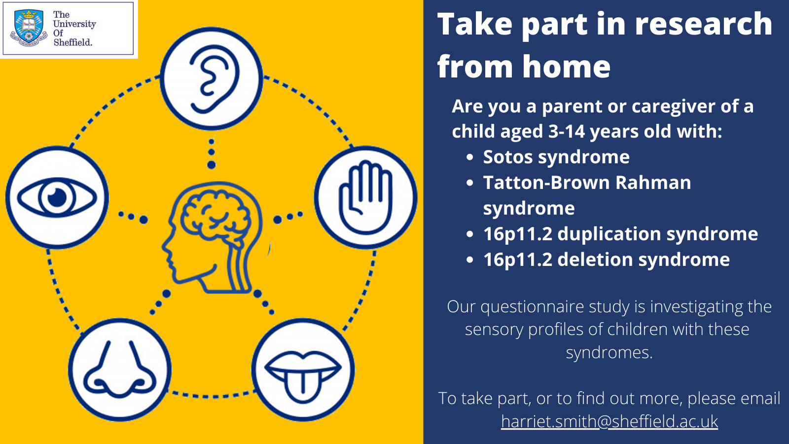 Sensory Profiles in Rare Syndromes Unique