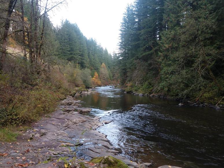 Gold Panning in Southwest Washington Lewis River & Gifford Pinchot NF