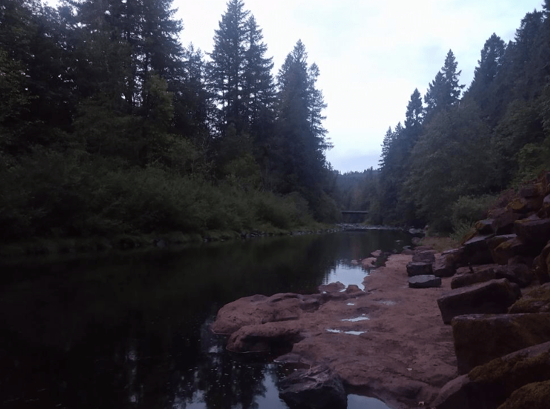 Gold Panning in the Molalla River Recreation Area