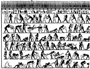 Egypt Motion