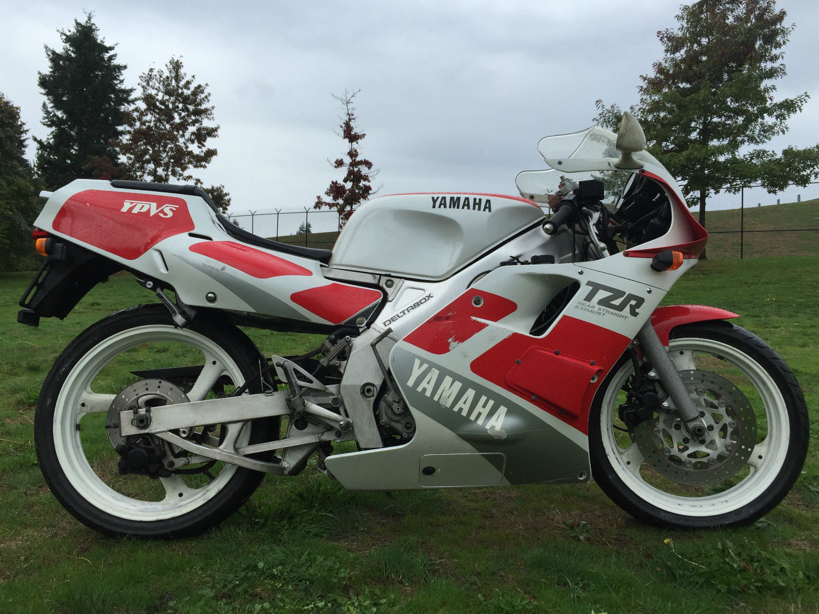 Rare MiddleChild 1989 Yamaha TZR250 3MA for Sale Rare SportBikes
