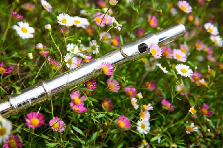 12 Most Expensive Flutes Ever