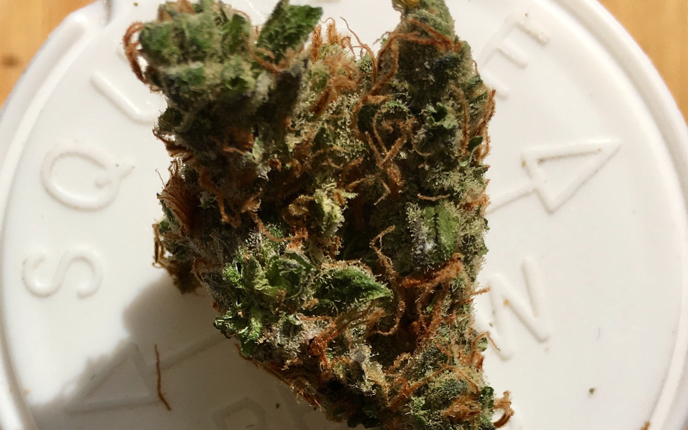 Web a brilliant strain for a variety of purposes, sherbet queen smells and tastes fantastic, and seems to be like 50 different great cannabis strains in one. This strain will give you a solid boost, and will. Trap Queen (Strain Review) Rare Cannabis Strain Reviews
