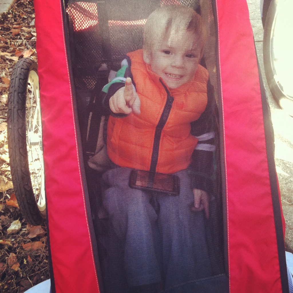 Thule Chariot Cougar 1 Bike Trailer Review - Rascal Rides