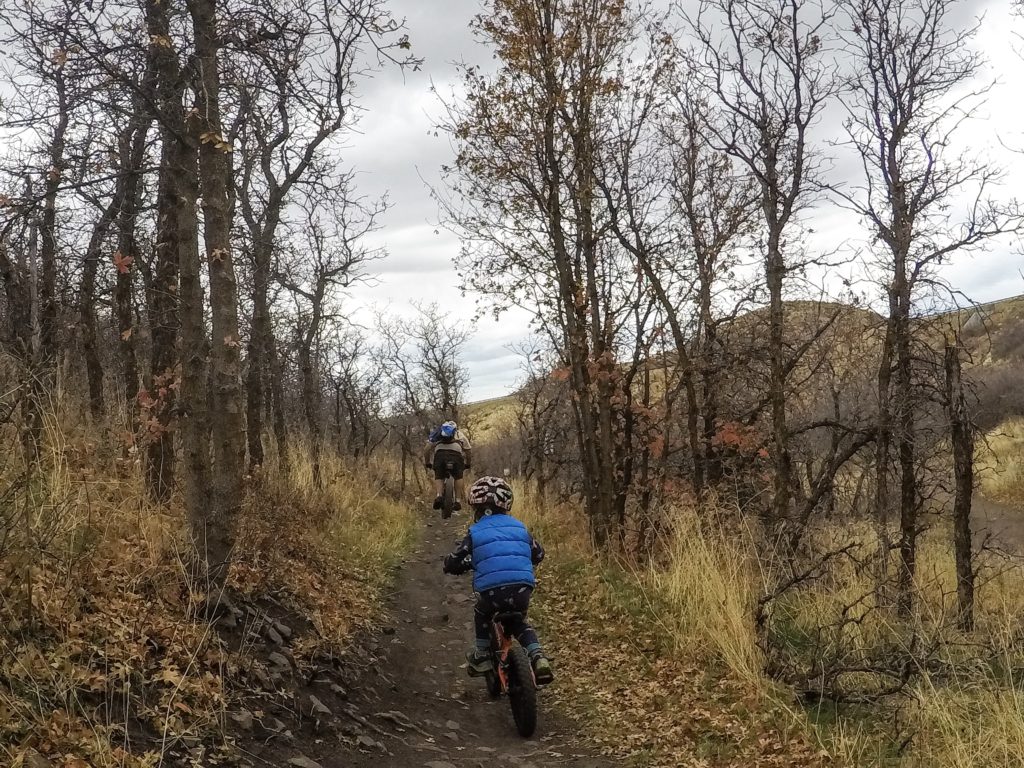 How To Find Kid & Family Friendly Bike Trails Near You Rascal Rides