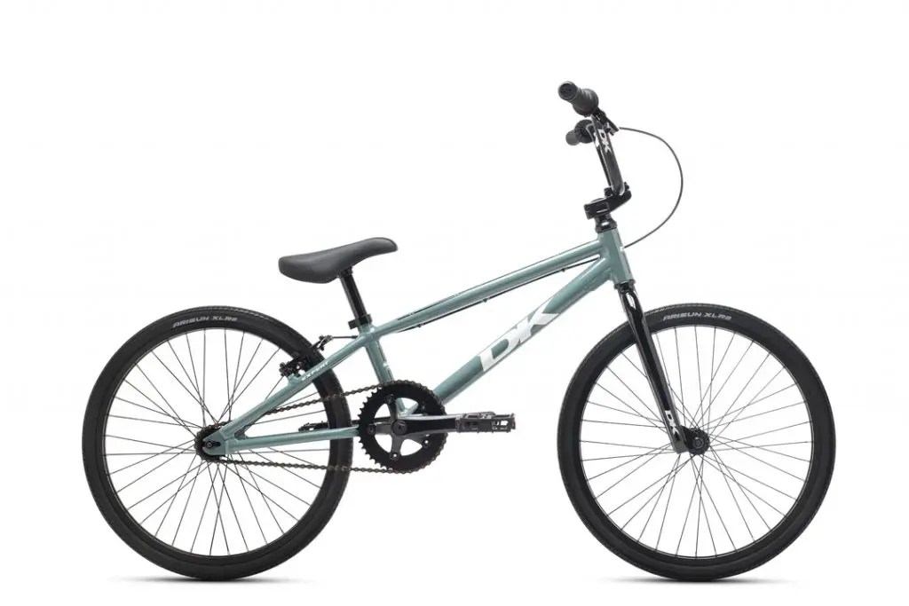 Best Kids BMX Race Bikes (Micro Mini, Mini, Junior, Expert) Rascal
